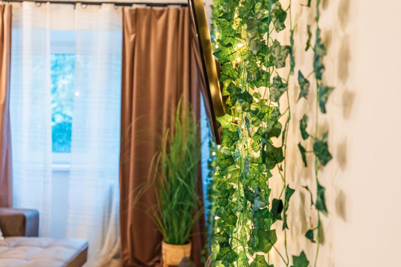 Jungle Apartment 15 Min Walk To Beach & Downtown Констанца Экстерьер фото